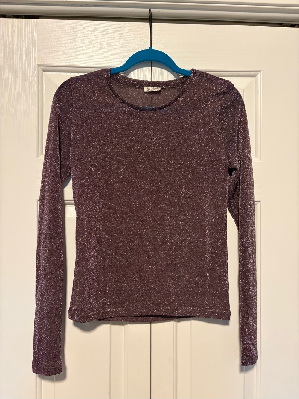 Free People Sheer Shimmer Top